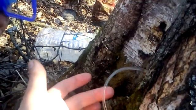 Приключенческие Фильмы