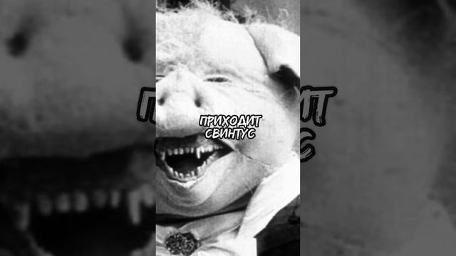 СВИНТУС ПРИДЁТ! ?❌ смотреть онлайн