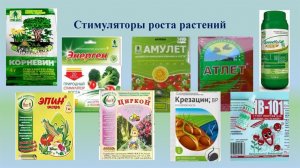 ВЫБИРАЕМ ЛУЧШИЕ СТИМУЛЯТОРЫ ДЛЯ ПРОРАЩИВАНИЯ СЕМЯН ПЕРЕД ПОСАДКОЙ.