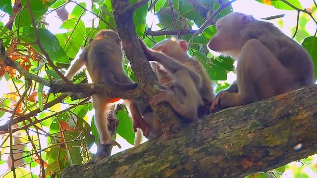 Baby Jester D_rown When Mom Take A Bath Omg...!!!