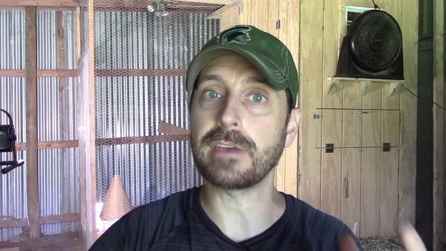 Chicken Roosting Bars Ideas To Help Your Flock Roost | Special Trick That SAVED Us! смотреть онлайн