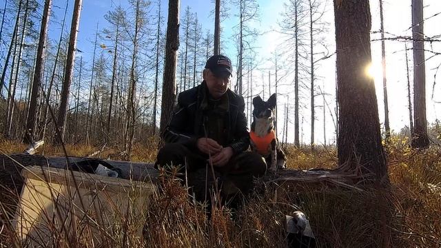 За брусникой. смотреть онлайн