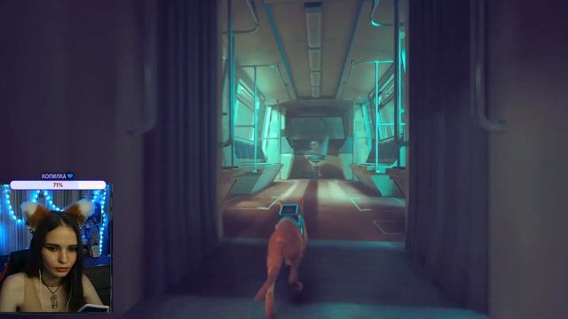 Конец истории Stray #3 смотреть онлайн