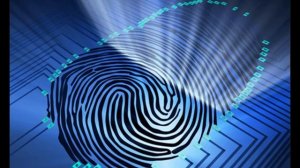 Как работает сканер отпечатков пальцев на экране