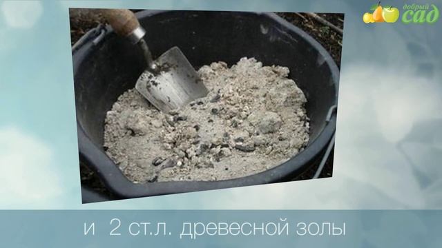 Фотоискусство и Эстетика