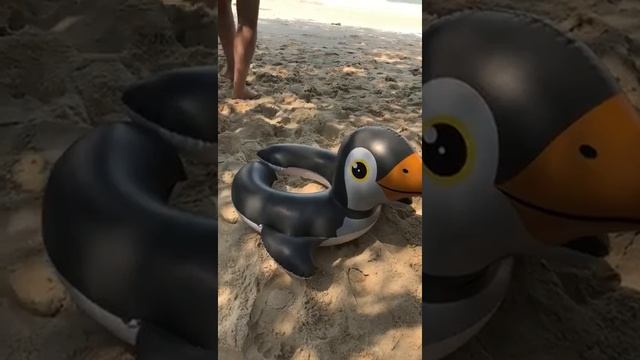 Голубь из Камбоджи смотреть онлайн