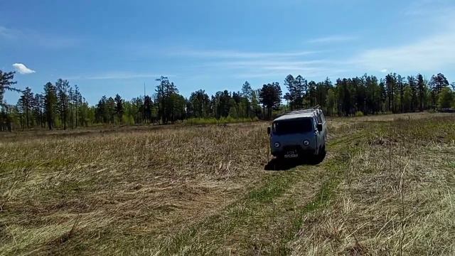 Багульник, жарки и карасевая рыбалка! смотреть онлайн