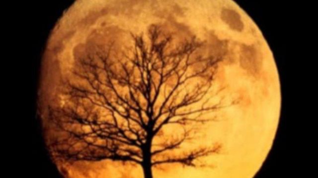 Hijo de la Luna - cover Sarah Brightman смотреть онлайн