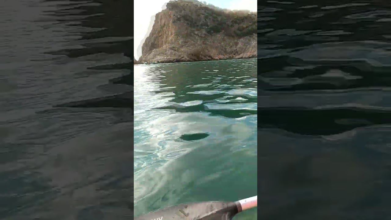 Уха на каяке! Балаклава, кефаль прямиком из воды в кастрюлю!) #blacksea #shots #kayakfishing смотреть онлайн