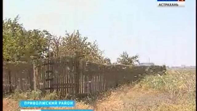 В Астраханской области массовое нашествие саранчи смотреть онлайн