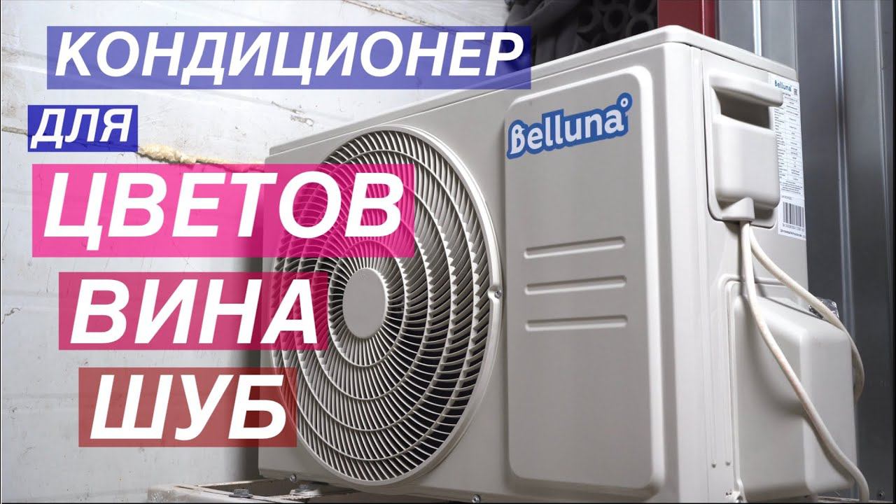 Кондиционер Belluna для хранения вина, цветов, сыра, пива, шуб и не только смотреть онлайн