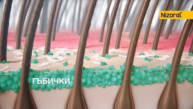 Nizoral | Низорал 17" смотреть онлайн