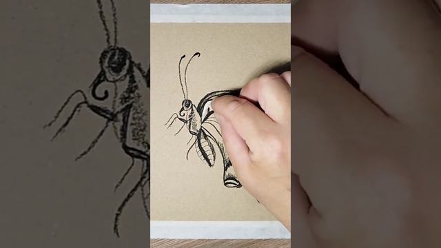 Изящная бабочка нарисованная сухой пастелью на тонированной бумаге. смотреть онлайн