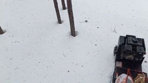 Прогулка по лесу с барбосом IKUDZO 1100/380 К8.