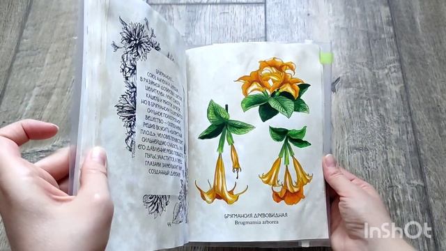 РАСКРАШЕННОЕ ЗА МЕСЯЦ / сентябрь 2023 #раскраскиантистресс #coloringbook #раскраскидлявзрослых