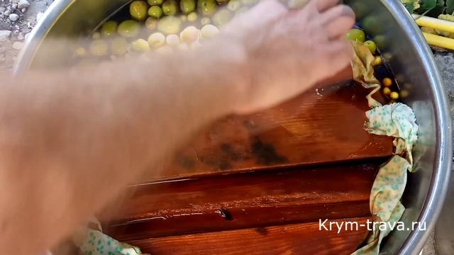 Оливки соленые домашние вкусные! Презентация Крым-трава. смотреть онлайн