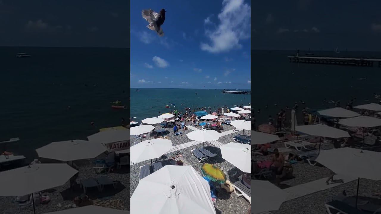 24.06.23 г. Погода Лазаревское #shorts #sochi #погодасочи смотреть онлайн