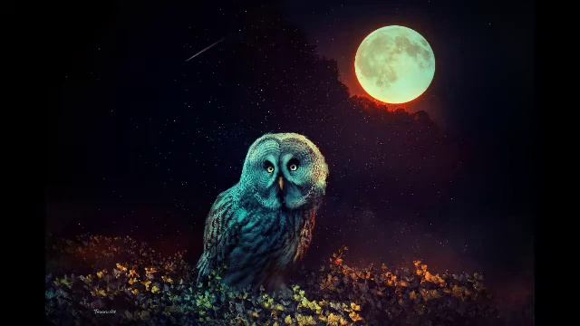 сем'я Нюкеевых- Что такое Рождество (минус) смотреть онлайн