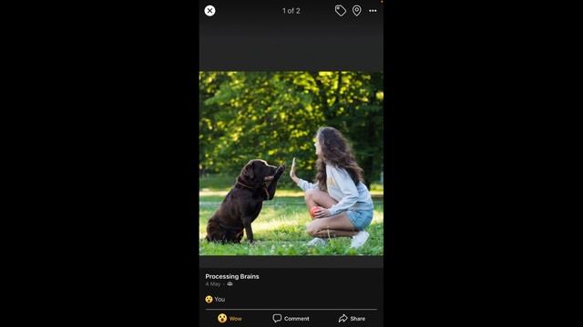 How to Hide Reactions on Facebook Profile Picture (2021) смотреть онлайн