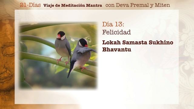 Deva Premal y Miten: 21-Días Viaje de Meditación Mantra - Día 13 смотреть онлайн