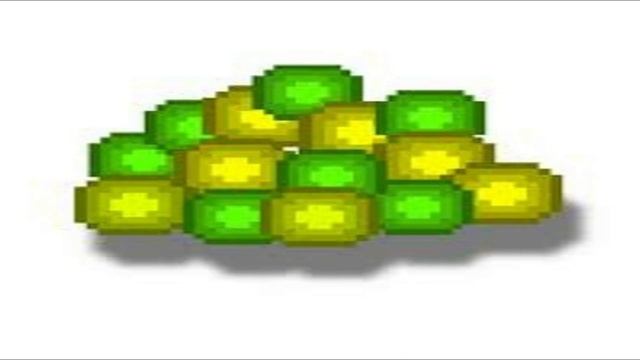 1 hour of silence broken by random minecraft xp sound effect