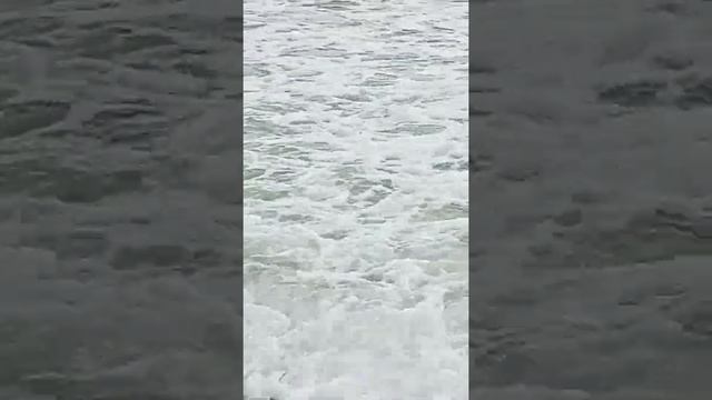 Чудеса природы
