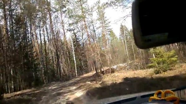 Лесная дорога к Кутузовскому скиту