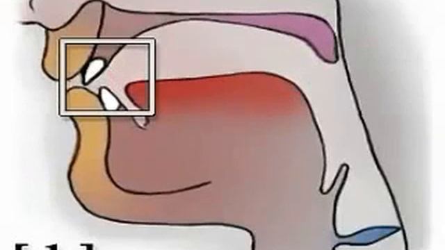 Правильное произношение звука Ф #логопед #развитиеречи смотреть онлайн