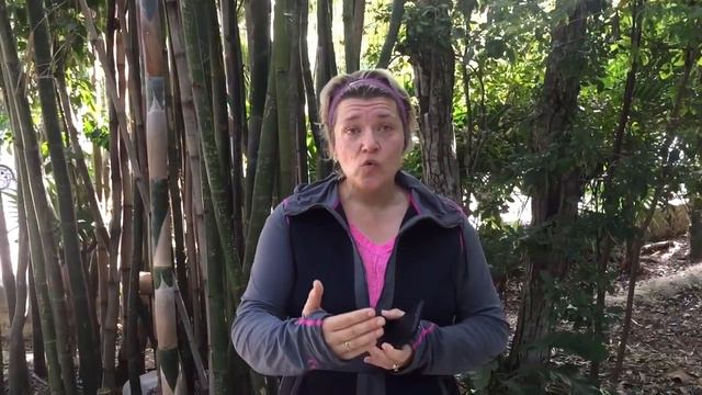 “Повторение - Мать Учения» или «Опасность Отключения Мозгов». “Записки Жены Пастора», #94 смотреть онлайн