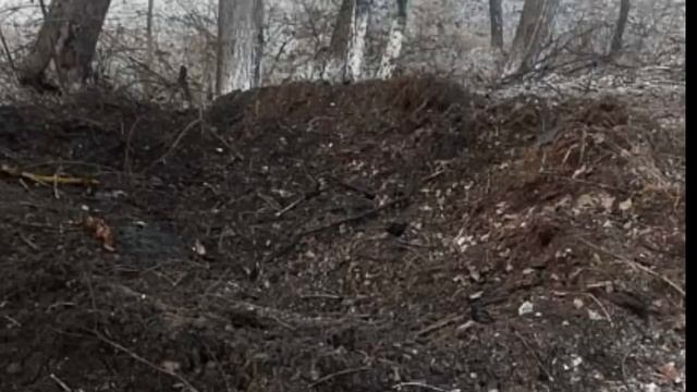 8 маленьких детей остались без папы и мамы 💔||Подробности о помощи в описании. смотреть онлайн