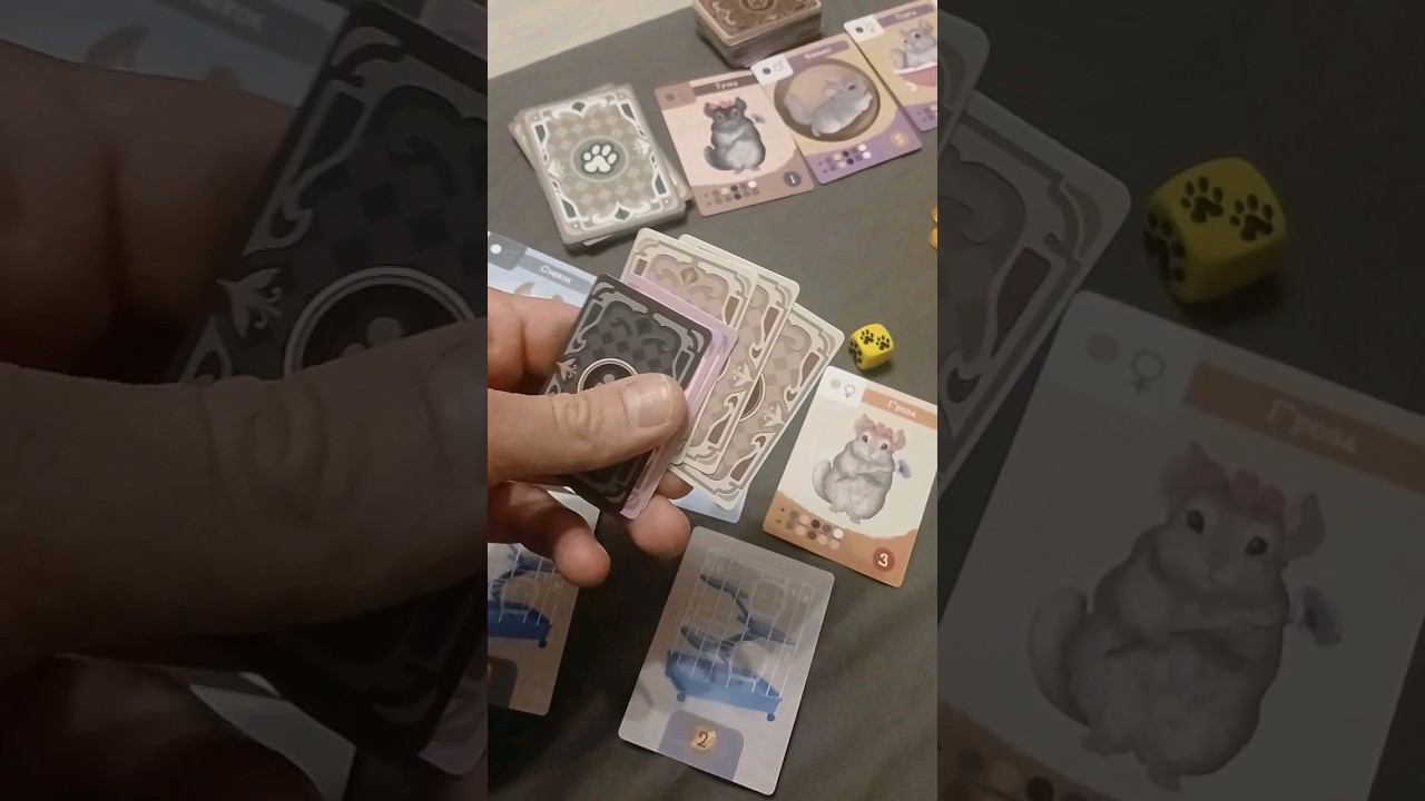 Милая настольная игра, где вы будете выращивать шиншилл #настольнаяигра #питомникшиншилл смотреть онлайн