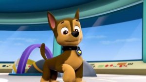 Тяф тяф буги - Щенячий патруль