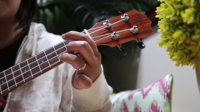 Riptide by Vance Joy (Ukulele Easy Version) смотреть онлайн