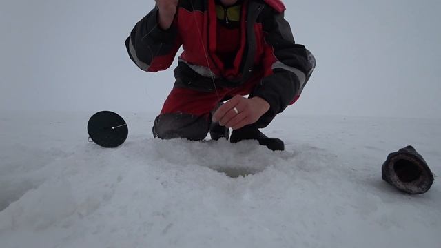 Рыбалка в Казахстане. Рыбалка 2021. Зимняя рыбалка. озеро Есей. смотреть онлайн