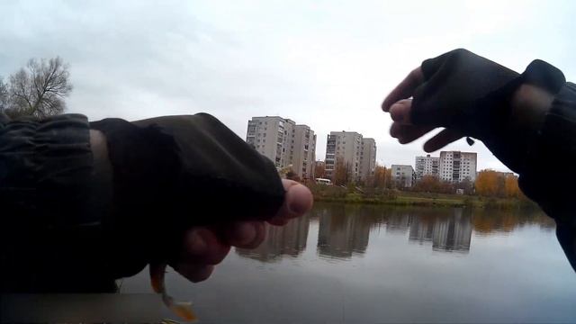 Рыбалка в черте города Саров смотреть онлайн