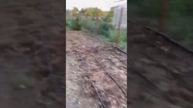 Летний водопровод и капельный полив огорода #дача #огород #капельныйполив смотреть онлайн