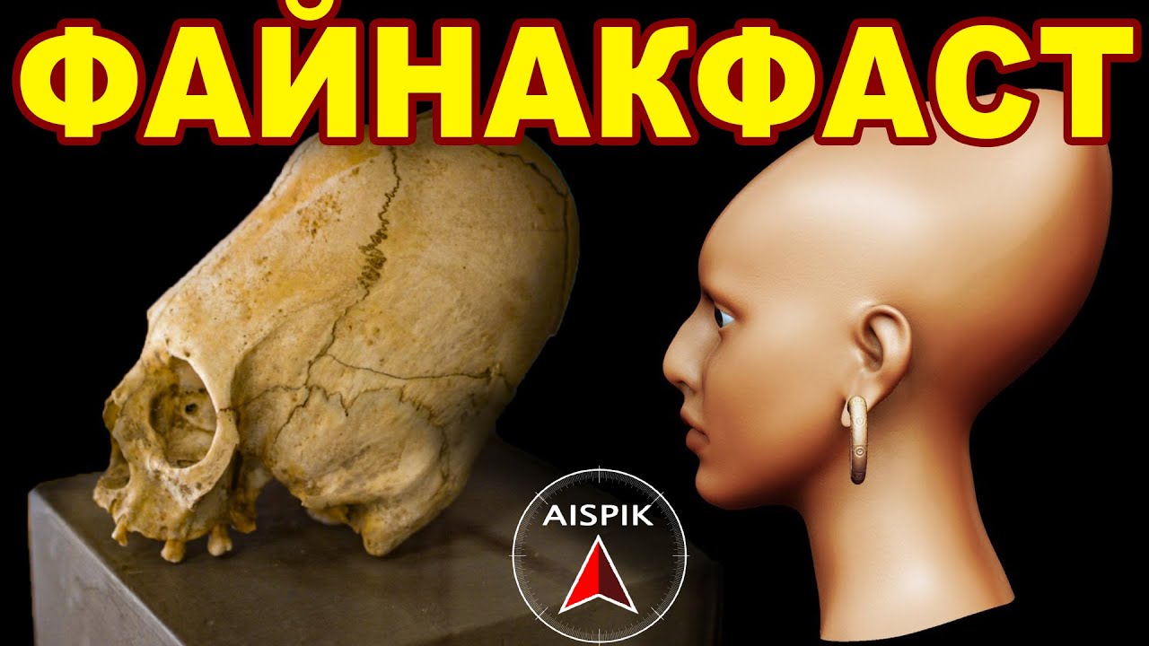 Черепа ЗВЁЗДНЫХ пришельцев СПОКОЙНО стоят в музее ВЛАДИКАВКАЗА смотреть онлайн