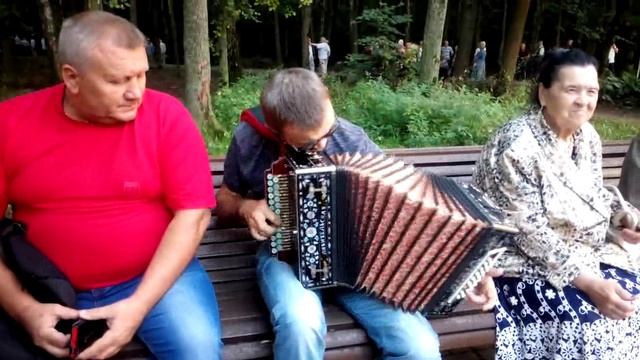 СМИРНОВ ГАРМОНЬ В ПАРКЕ смотреть онлайн