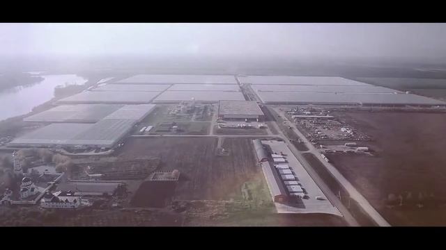 Теличный комплекс и комплекс по выращиванию грибов смотреть онлайн