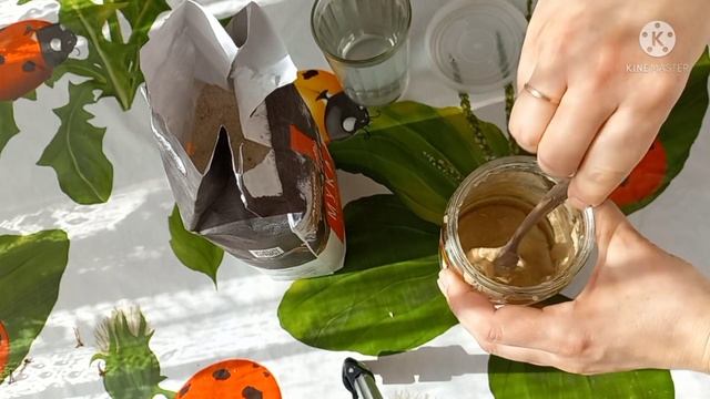 Уроки Живописи Маслом