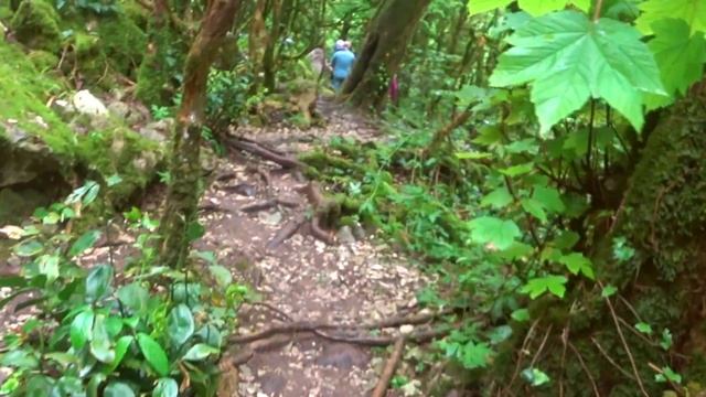 043. Ущелье Черниговка, пацха Ассир, г Сухум, Абхазия смотреть онлайн