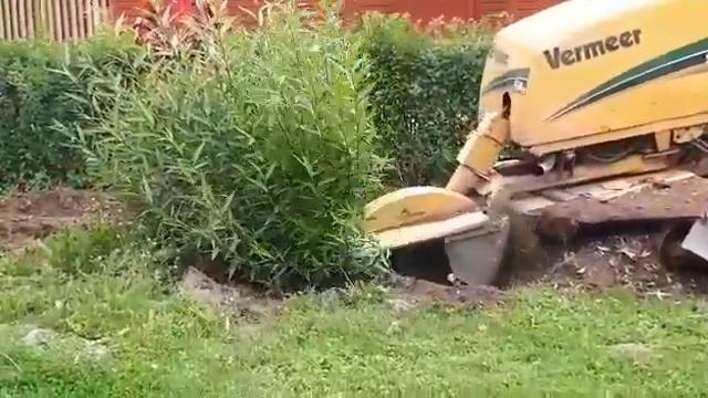 Удаление пней и корней деревьев смотреть онлайн