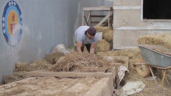 Что такое саман? Приготовление и применение