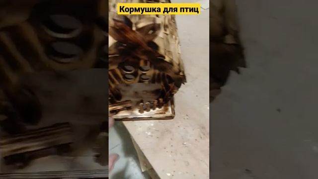 Вариант кормушки для птиц, Конкурс в садике, папа Пересторался или норм? смотреть онлайн