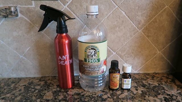 Natural Ant Control With Essential Oils - DIY Ant Spray смотреть онлайн