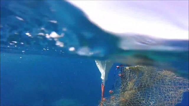 Волонтеры помогают морю смотреть онлайн