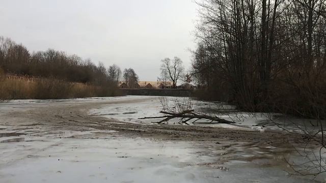 День Пингвина 19.02.2017 смотреть онлайн