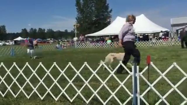 Amana IA Sunday Saluki's winners bitch смотреть онлайн