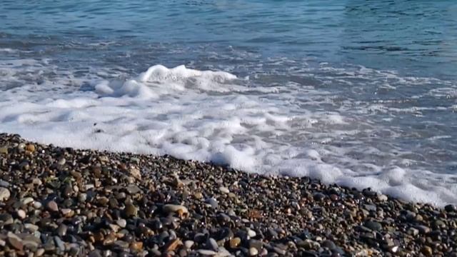 клип июнь 2022, лазаревское, море, дрок.mp4 смотреть онлайн