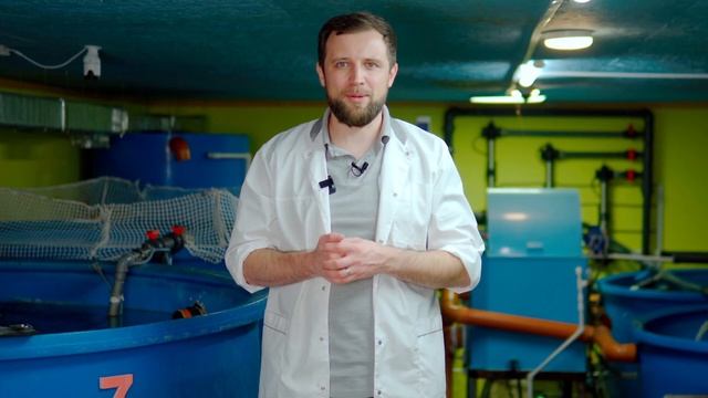 Необходимые ШАГИ для ПОВЫШЕНИЯ БЕЗОПАСНОСТИ на ферме УЗВ | Как сделать БИЗНЕС УЗВ безопаснее? смотреть онлайн